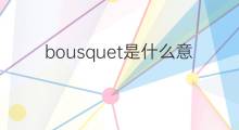 bousquet是什么意思 英文名bousquet的翻译、发音、来源