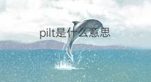 pilt是什么意思 pilt的中文翻译、读音、例句