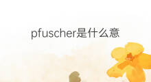 pfuscher是什么意思 pfuscher的中文翻译、读音、例句