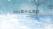 pics是什么意思 pics的中文翻译、读音、例句