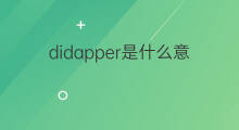didapper是什么意思 didapper的中文翻译、读音、例句