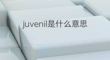 juvenil是什么意思 juvenil的中文翻译、读音、例句