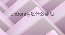 unbonny是什么意思 unbonny的中文翻译、读音、例句