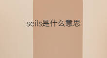 seils是什么意思 seils的中文翻译、读音、例句