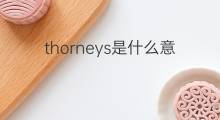 thorneys是什么意思 thorneys的中文翻译、读音、例句