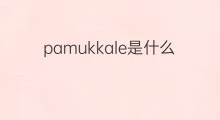 pamukkale是什么意思 pamukkale的翻译、读音、例句、中文解释
