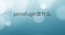 pimafugin是什么意思 pimafugin的中文翻译、读音、例句