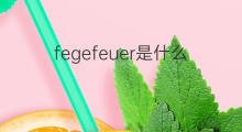 fegefeuer是什么意思 fegefeuer的中文翻译、读音、例句