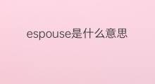espouse是什么意思 espouse的中文翻译、读音、例句