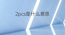 2pcs是什么意思 2pcs的中文翻译、读音、例句