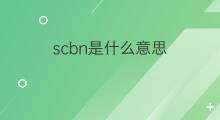scbn是什么意思 scbn的中文翻译、读音、例句