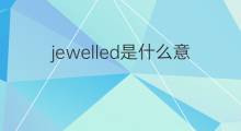 jewelled是什么意思 jewelled的中文翻译、读音、例句