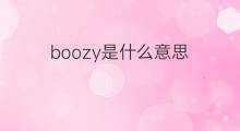 boozy是什么意思 boozy的中文翻译、读音、例句