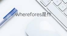 wherefores是什么意思 wherefores的中文翻译、读音、例句
