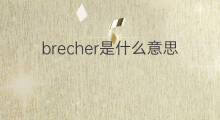 brecher是什么意思 英文名brecher的翻译、发音、来源