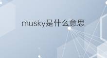 musky是什么意思 musky的中文翻译、读音、例句