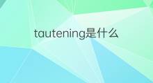 tautening是什么意思 tautening的中文翻译、读音、例句