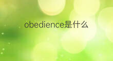 obedience是什么意思 obedience的中文翻译、读音、例句