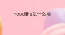 hoodlike是什么意思 hoodlike的中文翻译、读音、例句
