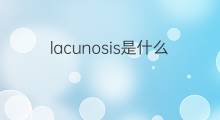 lacunosis是什么意思 lacunosis的中文翻译、读音、例句