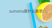 sumaria是什么意思 sumaria的中文翻译、读音、例句