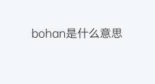 bohan是什么意思 bohan的翻译、读音、例句、中文解释