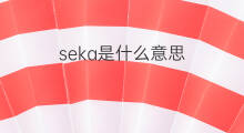 seka是什么意思 seka的中文翻译、读音、例句