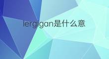 lergigan是什么意思 lergigan的中文翻译、读音、例句