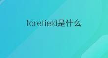 forefield是什么意思 forefield的中文翻译、读音、例句