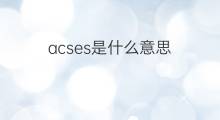 acses是什么意思 acses的中文翻译、读音、例句