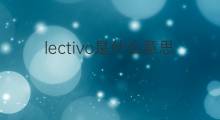 lectivo是什么意思 lectivo的中文翻译、读音、例句