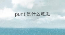 punti是什么意思 punti的中文翻译、读音、例句