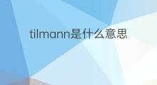 tilmann是什么意思 tilmann的中文翻译、读音、例句