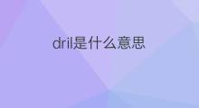 dril是什么意思 dril的中文翻译、读音、例句