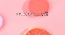 insecondary是什么意思 insecondary的中文翻译、读音、例句