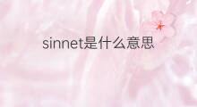 sinnet是什么意思 sinnet的中文翻译、读音、例句