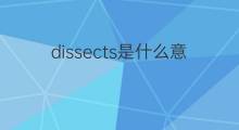 dissects是什么意思 dissects的中文翻译、读音、例句
