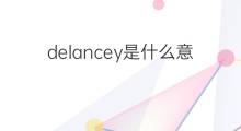 delancey是什么意思 delancey的中文翻译、读音、例句