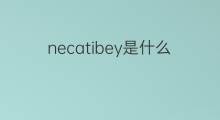 necatibey是什么意思 necatibey的中文翻译、读音、例句