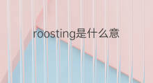 roosting是什么意思 roosting的中文翻译、读音、例句