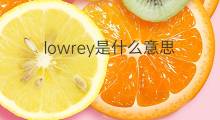 lowrey是什么意思 lowrey的中文翻译、读音、例句