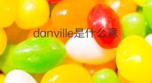 danville是什么意思 danville的中文翻译、读音、例句