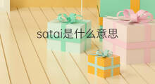 satai是什么意思 satai的翻译、读音、例句、中文解释