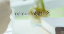 mercaptol是什么意思 mercaptol的中文翻译、读音、例句