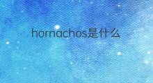 hornachos是什么意思 hornachos的中文翻译、读音、例句