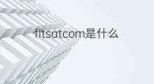 fltsatcom是什么意思 fltsatcom的翻译、读音、例句、中文解释