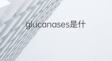 glucanases是什么意思 glucanases的中文翻译、读音、例句