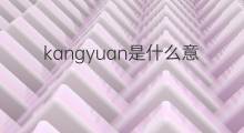 kangyuan是什么意思 kangyuan的中文翻译、读音、例句