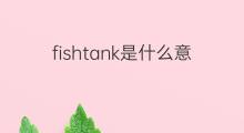 fishtank是什么意思 fishtank的中文翻译、读音、例句