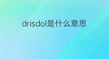 drisdol是什么意思 drisdol的中文翻译、读音、例句